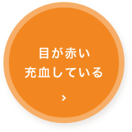 目のよくある症状 船橋市 なつみだい眼科 船橋 新船橋 塚田